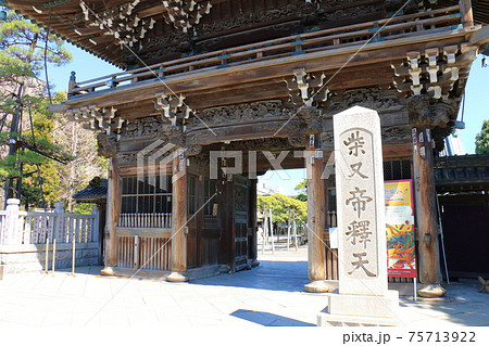 東京都葛飾区柴又の柴又帝釈天二天門と瑞龍の松 帝釈天題経寺 経栄山題経寺 瑞龍の松 東京都葛飾区柴又の柴又帝釈天二天門と瑞龍の松 帝釈天題経寺 経栄山題経寺 瑞龍の松 75713922
