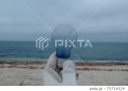 球根 電球 球 75714324