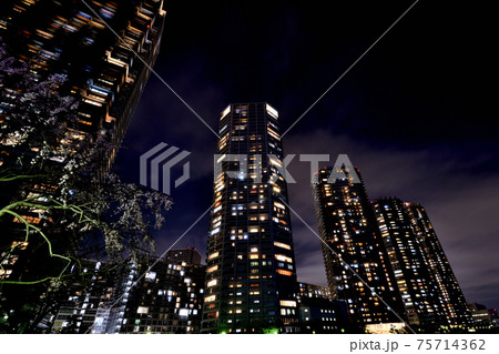東京都　東雲の高層タワーマンション群の夜景 75714362