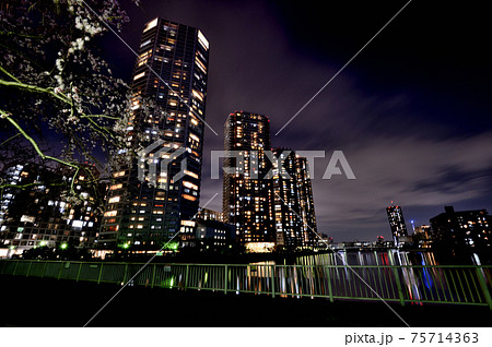 東京都 東雲の高層タワーマンション群の夜景 東京都 東雲の高層タワーマンション群の夜景 75714363