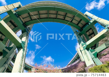 静岡県賀茂郡河津町　河津ループ橋と上条の河津桜 75714463