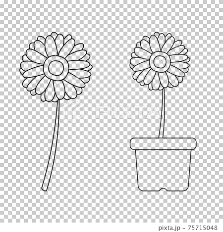 Gerbera Illustration Set Line Art Stock Illustration