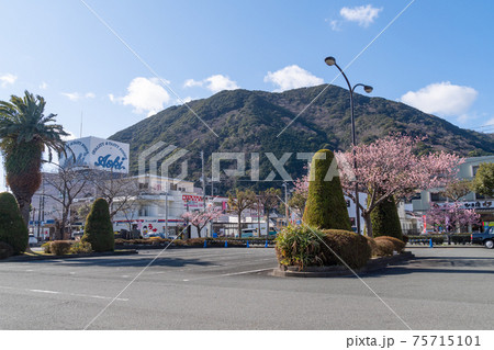 駅前風景　河津駅 75715101