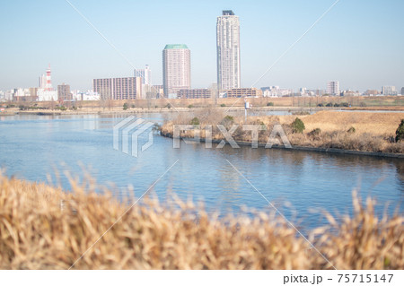 旧岩淵水門付近から対岸/東京都北区志茂 旧岩淵水門付近から対岸/東京都北区志茂 75715147