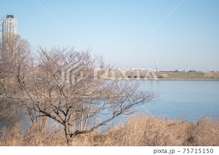 旧岩淵水門付近から対岸/東京都北区志茂 旧岩淵水門付近から対岸/東京都北区志茂 75715150