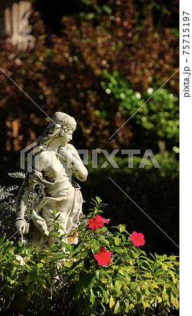 薔薇とヴィーナス 75715197