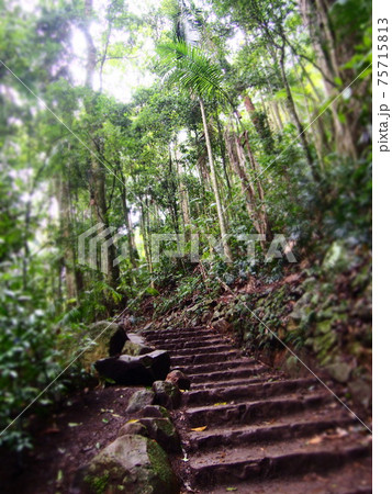 オーストラリア タンボリン国立公園 ジョアラセクション オーストラリア タンボリン国立公園 ジョアラセクション 75715813