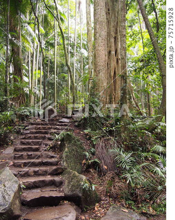 オーストラリア タンボリン国立公園 ジョアラセクション オーストラリア タンボリン国立公園 ジョアラセクション 75715928
