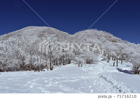 冬の赤城山、下降地点から駒ヶ岳の眺め 冬の赤城山、下降地点から駒ヶ岳の眺め 75716210