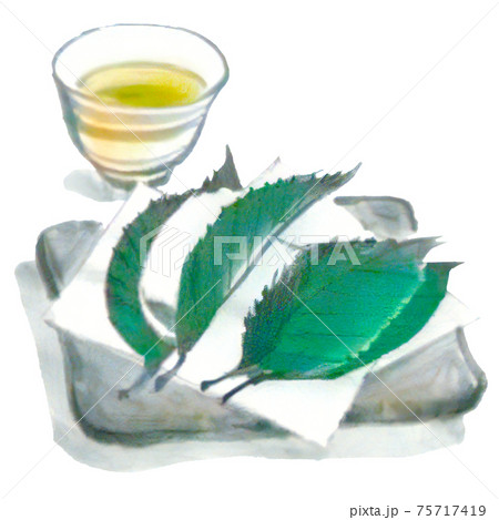 手描き・水彩風の柏餅のイラスト 75717419