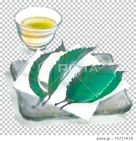 手描き・水彩風の柏餅のイラスト 75717419