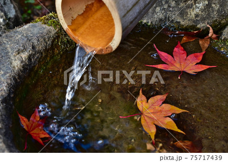 紅葉　秋　吉水園 75717439