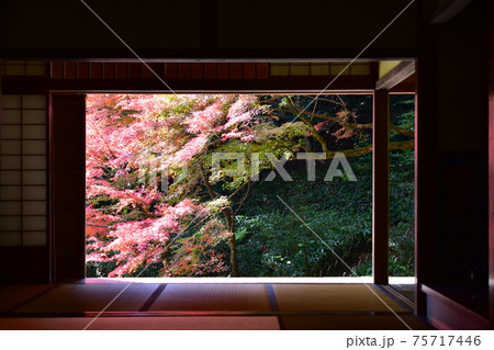 紅葉　秋　吉水園 75717446