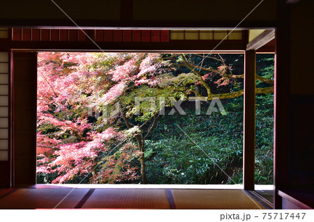 紅葉　秋　吉水園 75717447