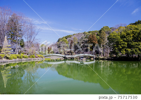 薬師池公園　早春景 75717530