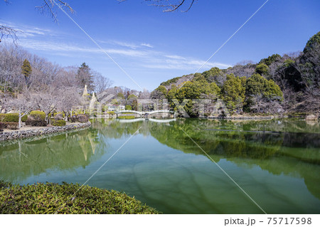 薬師池公園　早春景 75717598