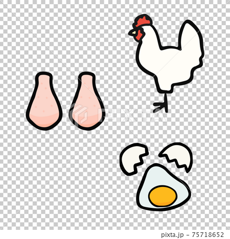 シンプルでかわいい鶏と鶏肉と鶏卵のイラストセット 手書き風のイラスト素材