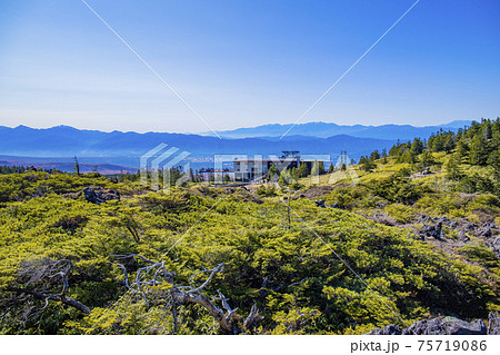 【長野県】秋の北八ヶ岳 坪庭自然園 【長野県】秋の北八ヶ岳 坪庭自然園 75719086