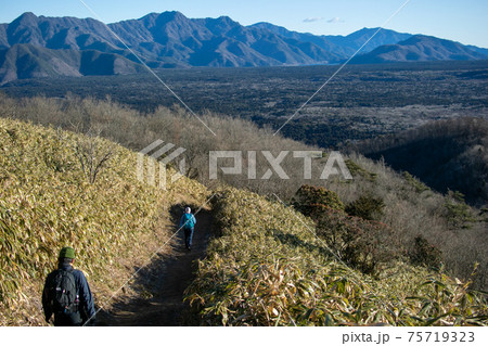 登山道を歩く 登山道を歩く 75719323