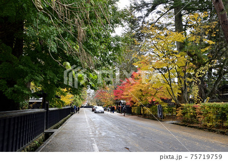 紅葉の角館武家屋敷通り 紅葉の角館武家屋敷通り 75719759