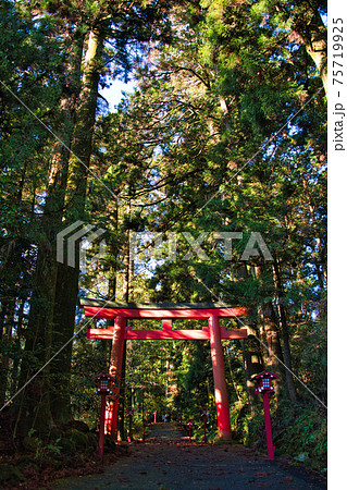 箱根神社 75719925