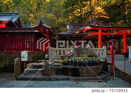 箱根神社 本殿 箱根神社 本殿 75719933