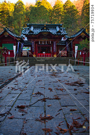 箱根神社　本殿 75719934