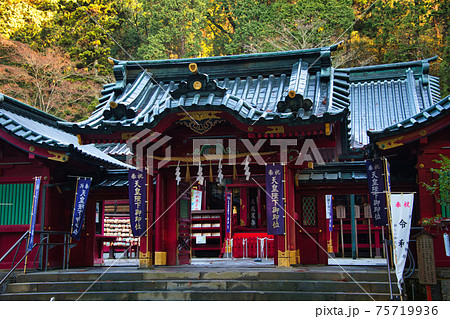 箱根神社　本殿 75719936