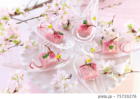 さくら豆腐　おうちでお花見 75720276