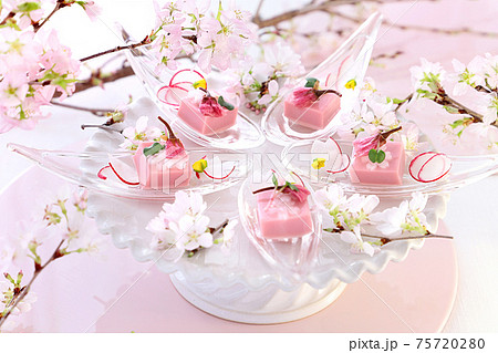 さくら豆腐　おうちでお花見 75720280