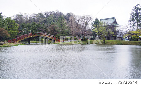 神奈川県横浜市の称名寺の春、 神奈川県横浜市の称名寺の春、 75720544