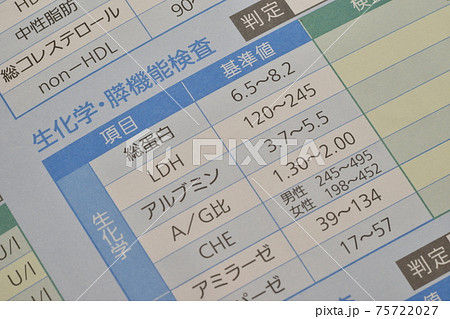 人間ドック検査 生化学 膵臓 人間ドック検査 生化学 膵臓 75722027