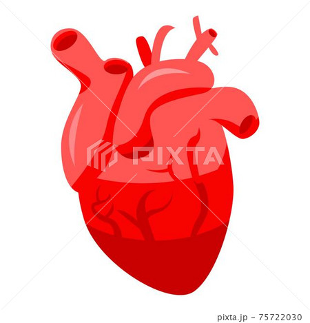 Healthy human heart icon, isometric style Healthy human heart icon, isometric style 75722030