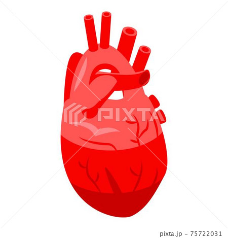 Red human heart icon, isometric style Red human heart icon, isometric style 75722031