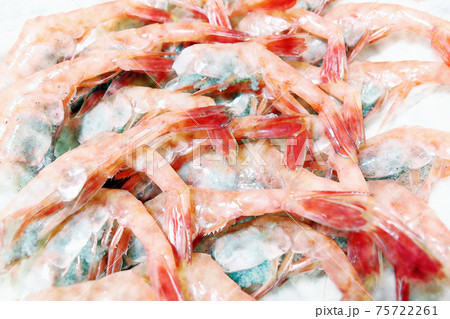 家庭的で素朴な盛付けの「子持ち甘海老の刺し身」水彩画風 家庭的で素朴な盛付けの「子持ち甘海老の刺し身」水彩画風 75722261