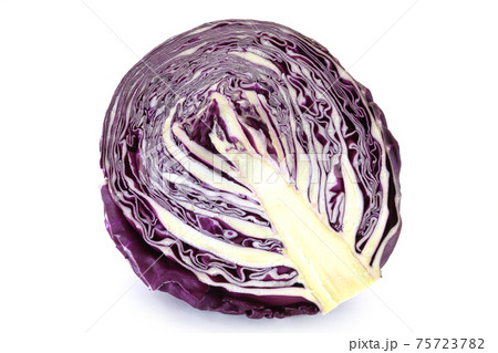 紫キャベツ 75723782