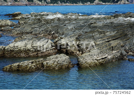 鷲ノ巣崎の海岸 鷲ノ巣崎の海岸 75724562