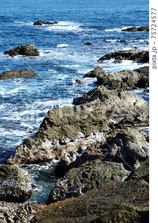 鷲ノ巣崎の海岸 鷲ノ巣崎の海岸 75724577