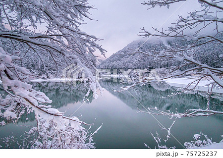 春は桜!秋は紅葉で美しい、音水湖(引原ダム)の雪景色(兵庫県宍粟市波賀町)※作品コメント欄に撮影位置 春は桜!秋は紅葉で美しい、音水湖(引原ダム)の雪景色(兵庫県宍粟市波賀町)※作品コメント欄に撮影位置 75725237