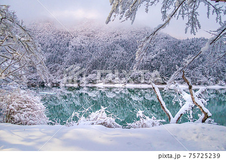 春は桜！秋は紅葉で美しい、音水湖(引原ダム）の雪景色（兵庫県宍粟市波賀町）※作品コメント欄に撮影位置 75725239