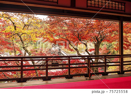 楊谷寺の紅葉 京都の紅葉の名所 紅葉の絶景スポット 楊谷寺の紅葉 京都の紅葉の名所 紅葉の絶景スポット 75725558