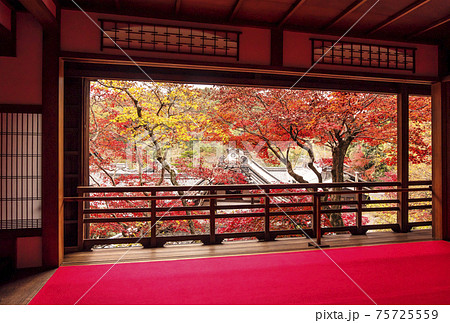 楊谷寺の紅葉　京都の紅葉の名所　紅葉の絶景スポット 75725559