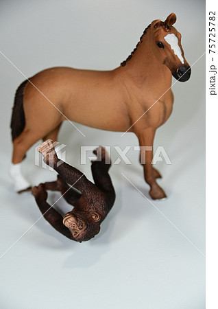 落馬した猿 75725782