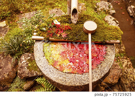 楊谷寺の紅葉　京都の紅葉の名所　もみじの花手水　紅葉の絶景スポット 75725925