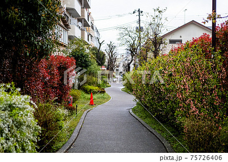 住宅街の小道 住宅街の小道 75726406