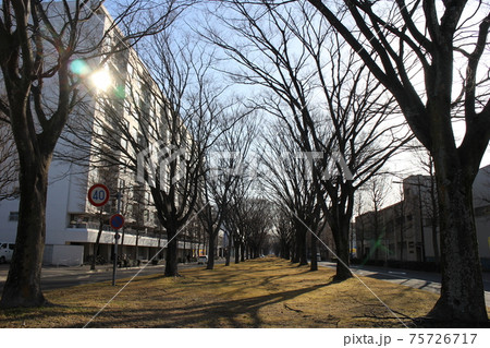 仙台市若林区　卸町周辺 75726717