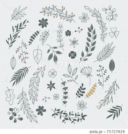 Rustic hand drawn ornaments with branches and leaves. floral frames and borders Rustic hand drawn ornaments with branches and leaves. floral frames and borders 75727629