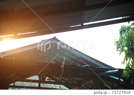 morning sunlight on barn cowshed roof in farm morning sunlight on barn cowshed roof in farm 75727916