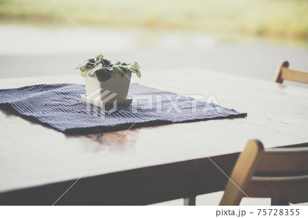 green plant leaves in pot decorating in dining table on patio 75728355