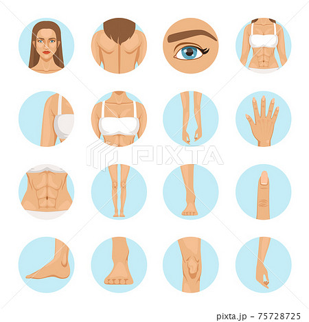 11,249,900+ Female Body Parts Stock Photos, Pictures & Royalty-Free Images  - iStock